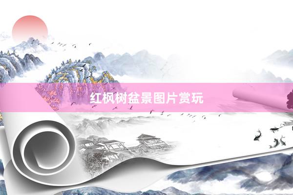 红枫树盆景图片赏玩